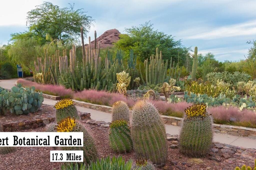 Modern 3-br In North Scottsdale